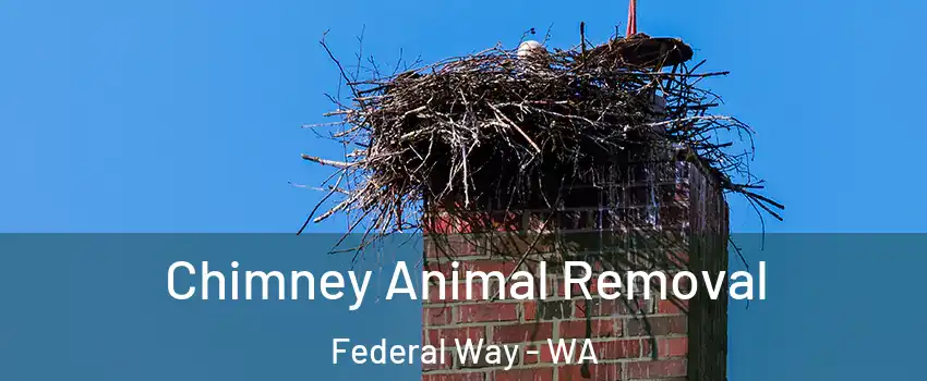  Chimney Animal Removal Federal Way - WA