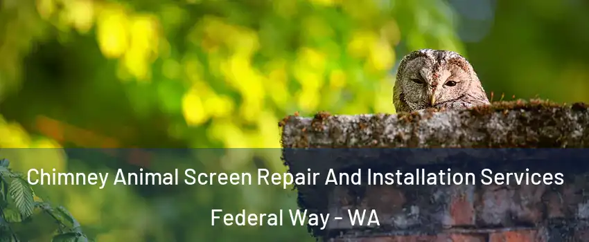  Chimney Animal Screen Repair And Installation Services Federal Way - WA