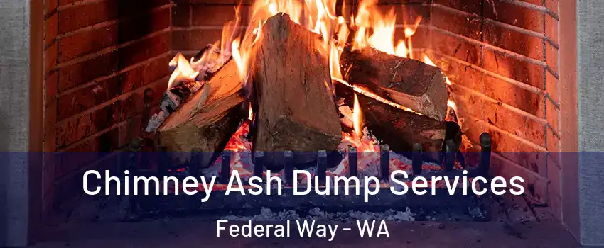  Chimney Ash Dump Services Federal Way - WA