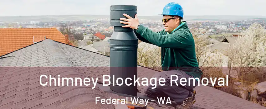  Chimney Blockage Removal Federal Way - WA