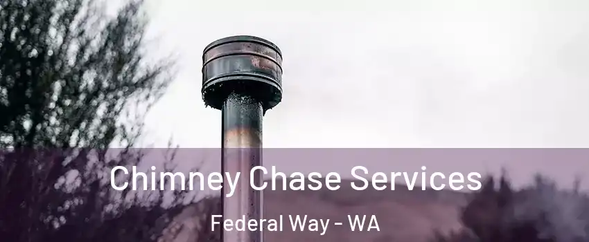  Chimney Chase Services Federal Way - WA