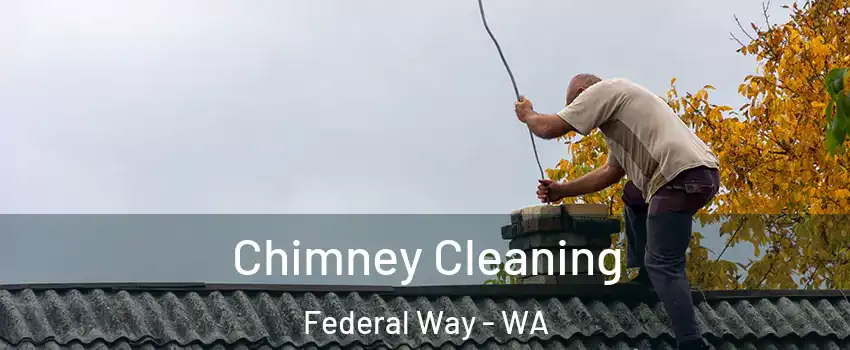  Chimney Cleaning Federal Way - WA