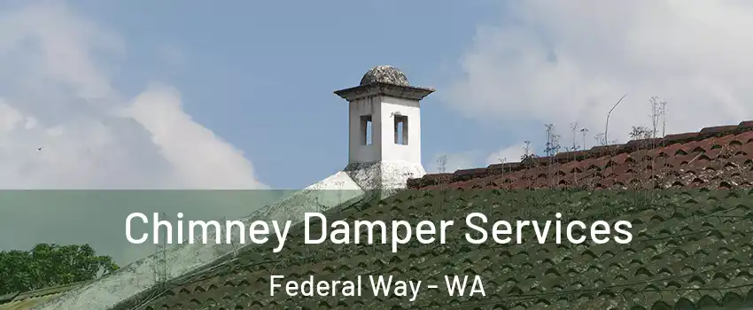  Chimney Damper Services Federal Way - WA