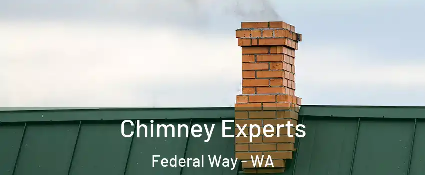  Chimney Experts Federal Way - WA