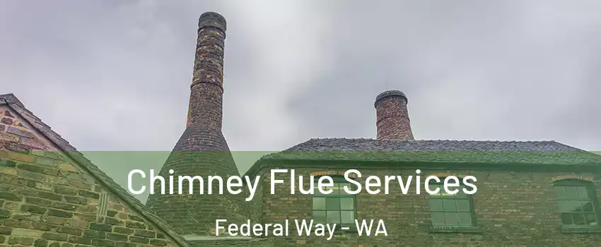  Chimney Flue Services Federal Way - WA