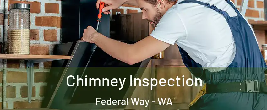  Chimney Inspection Federal Way - WA