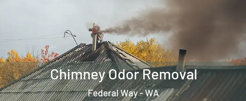  Chimney Odor Removal Federal Way - WA
