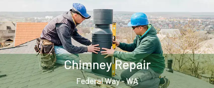  Chimney Repair Federal Way - WA