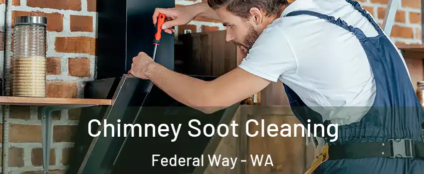  Chimney Soot Cleaning Federal Way - WA