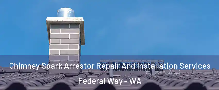  Chimney Spark Arrestor Repair And Installation Services Federal Way - WA