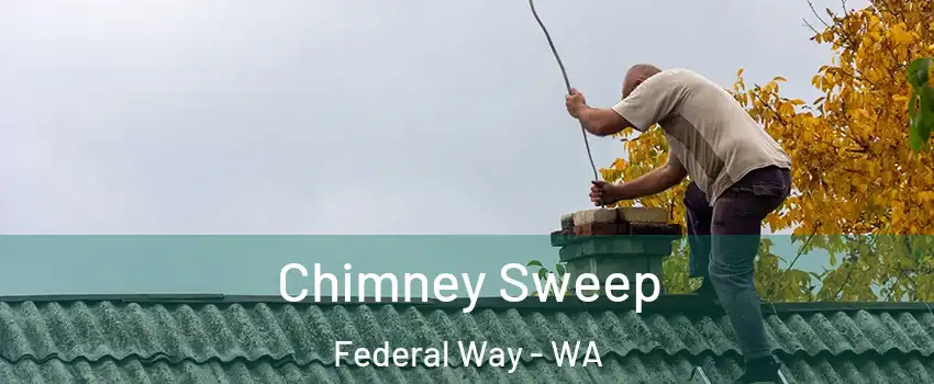  Chimney Sweep Federal Way - WA