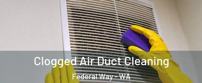  Clogged Air Duct Cleaning Federal Way - WA