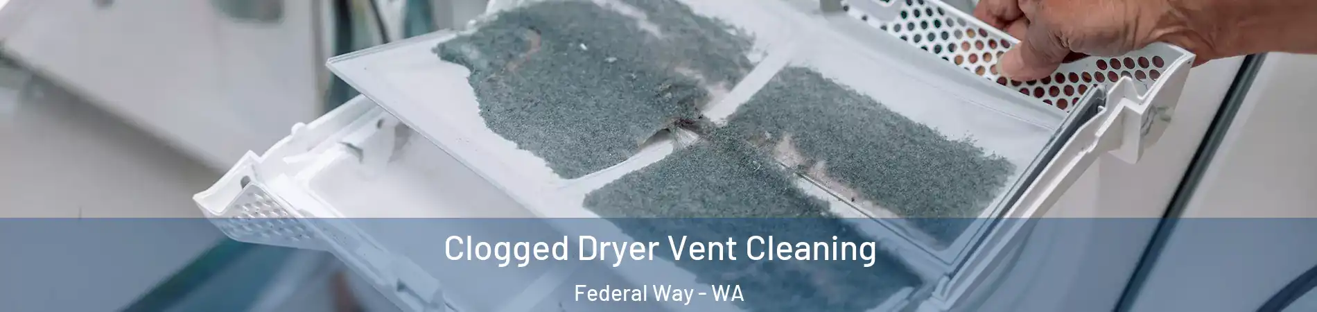  Clogged Dryer Vent Cleaning Federal Way - WA