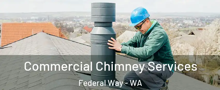  Commercial Chimney Services Federal Way - WA