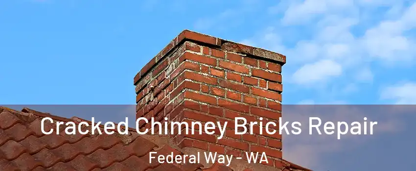  Cracked Chimney Bricks Repair Federal Way - WA