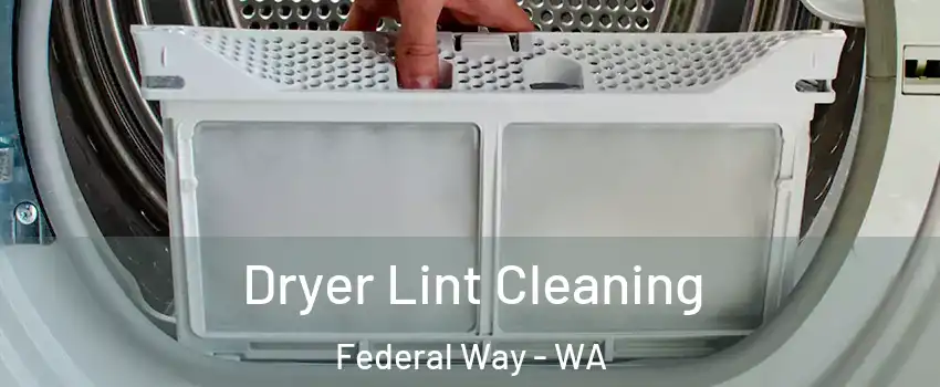  Dryer Lint Cleaning Federal Way - WA