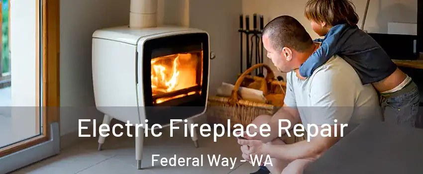  Electric Fireplace Repair Federal Way - WA