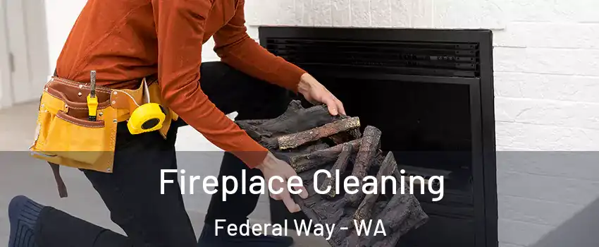  Fireplace Cleaning Federal Way - WA