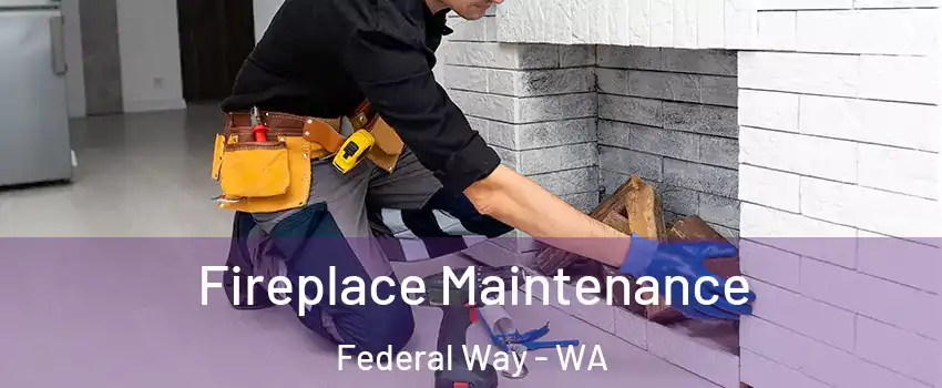  Fireplace Maintenance Federal Way - WA