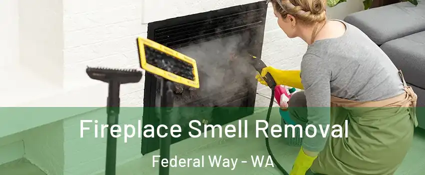  Fireplace Smell Removal Federal Way - WA