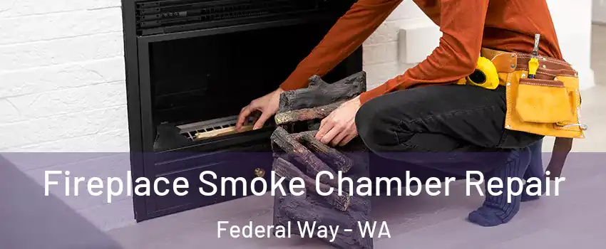  Fireplace Smoke Chamber Repair Federal Way - WA