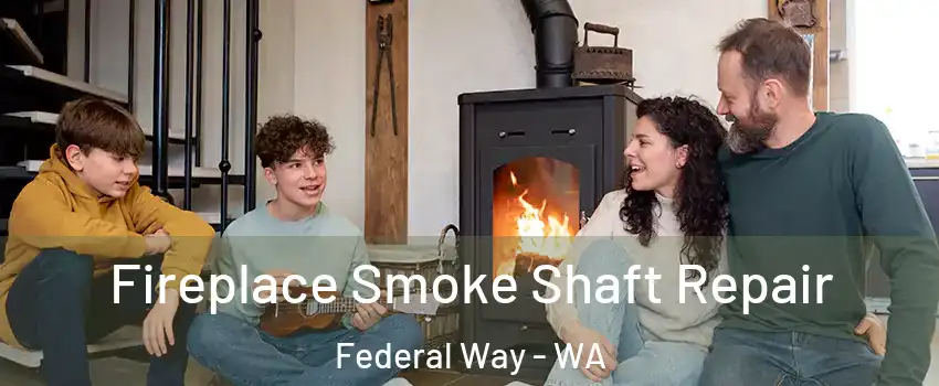 Fireplace Smoke Shaft Repair Federal Way - WA