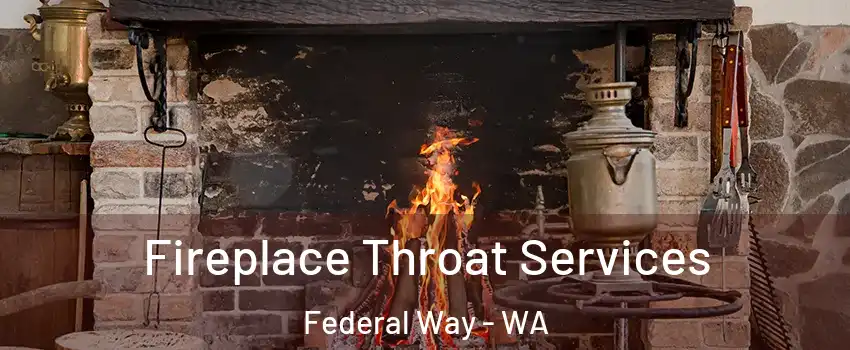  Fireplace Throat Services Federal Way - WA