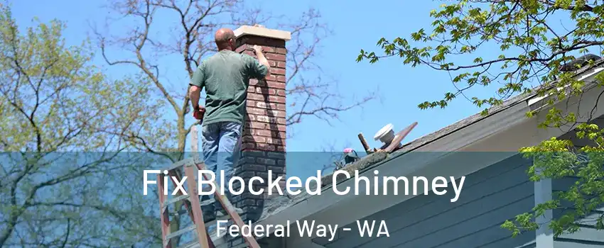  Fix Blocked Chimney Federal Way - WA