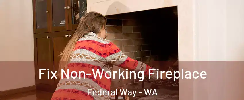  Fix Non-Working Fireplace Federal Way - WA