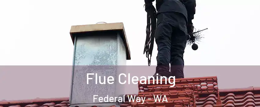  Flue Cleaning Federal Way - WA