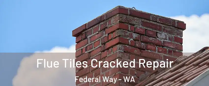  Flue Tiles Cracked Repair Federal Way - WA