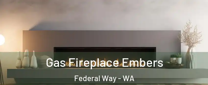  Gas Fireplace Embers Federal Way - WA