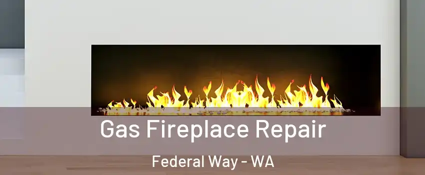  Gas Fireplace Repair Federal Way - WA