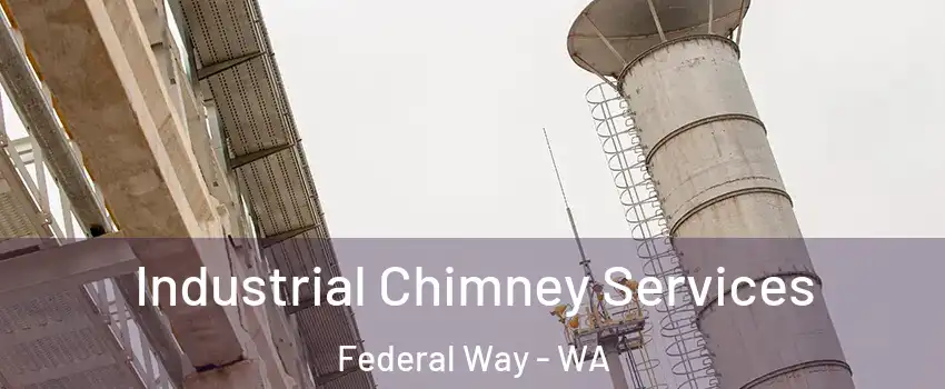  Industrial Chimney Services Federal Way - WA