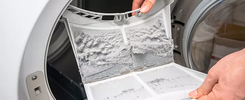 Best Dryer Lint Removal Company in Federal Way, Washington