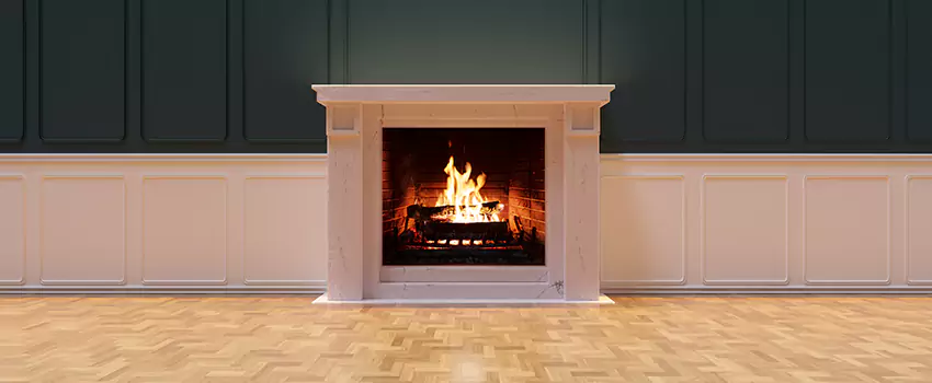 Napoleon Electric Fireplaces Inspection Service in Federal Way, Washington