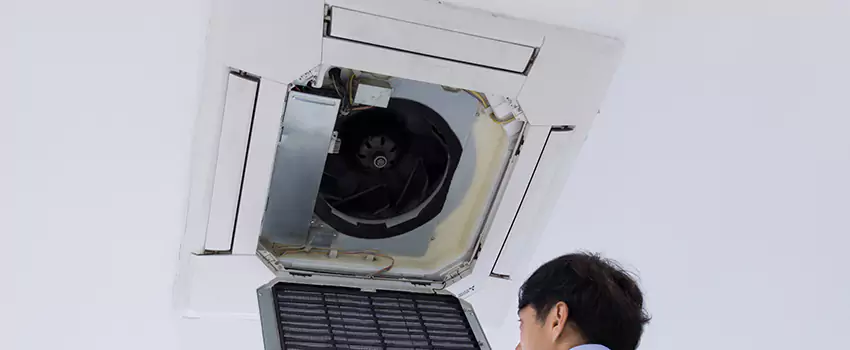 Benefits of Professional Air Duct Cleaning in Federal Way, Washington