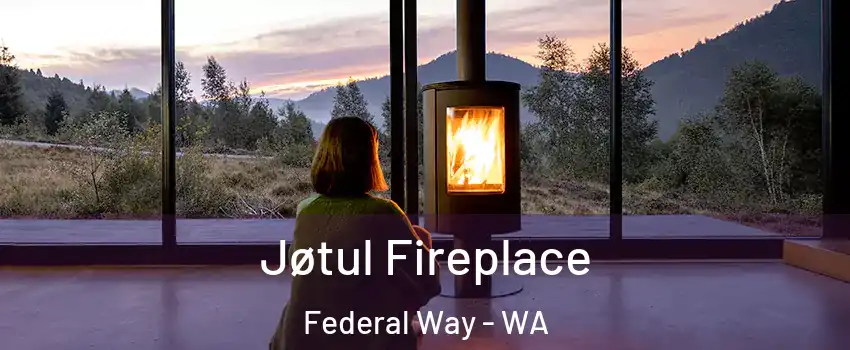  Jøtul Fireplace Federal Way - WA