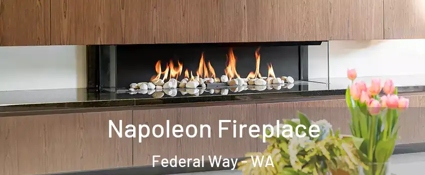  Napoleon Fireplace Federal Way - WA