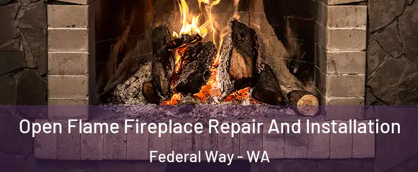  Open Flame Fireplace Repair And Installation Federal Way - WA