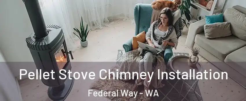  Pellet Stove Chimney Installation Federal Way - WA