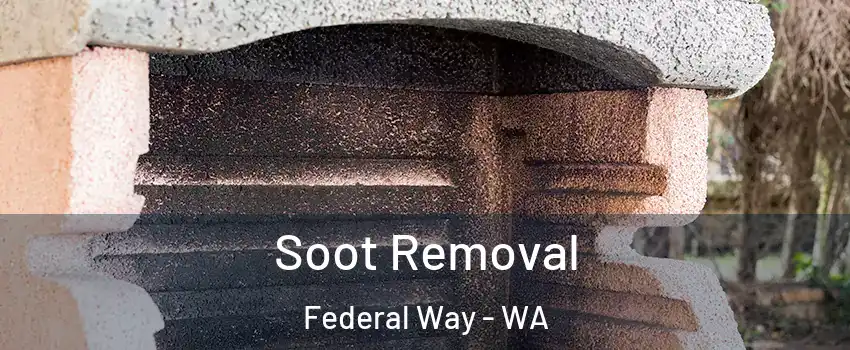  Soot Removal Federal Way - WA